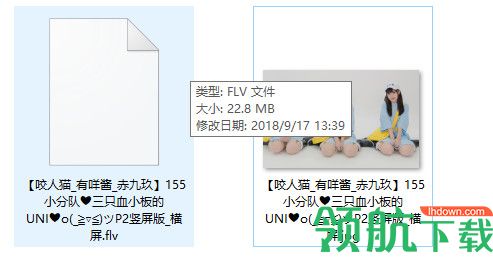 稞麦网络视频下载器
