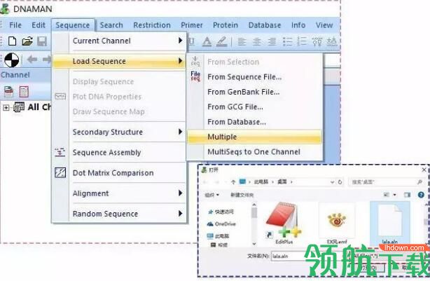 DNAMAN多功能综合序列分析破解版