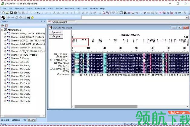 DNAMAN多功能综合序列分析破解版