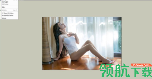 GD格式文件阅读器官方版