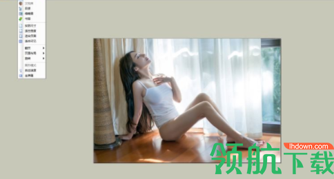 GD格式文件阅读器官方版