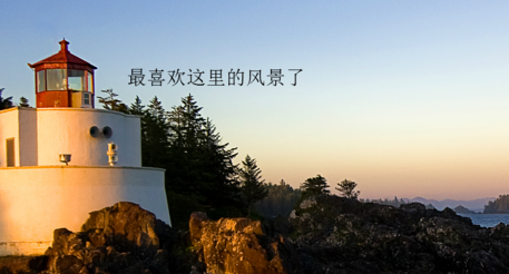 zmaker杂志制作大师官方版