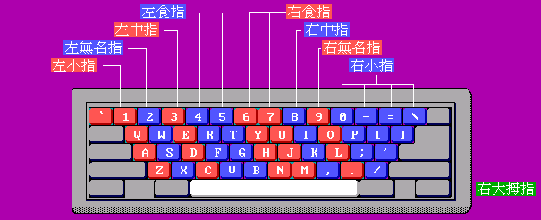 明天打字员官方绿色版