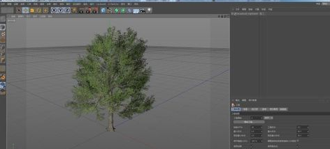SpeedTreeCinema3D树木建模工具破解版
