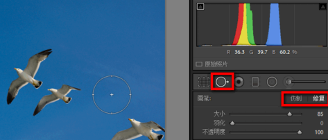 adobelightroomcc2019中文破解免注册版