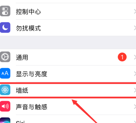 苹果内部结构壁纸超清版