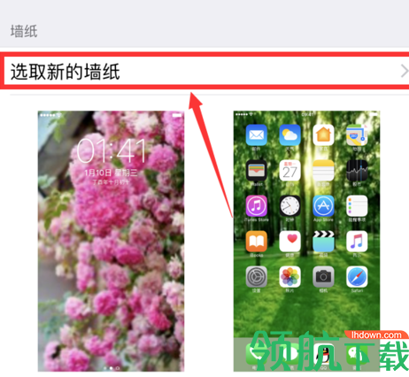 苹果内部结构壁纸超清版