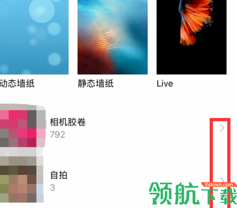 苹果内部结构壁纸超清版