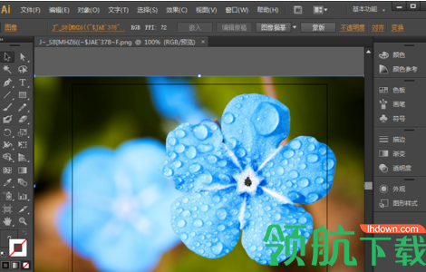 AdobeIllustratorcc2019中文破解版(附破解补丁)