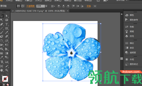 AdobeIllustratorcc2019中文破解版(附破解补丁)