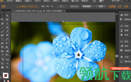 AdobeIllustratorcc2019中文破解版(附破解补丁)