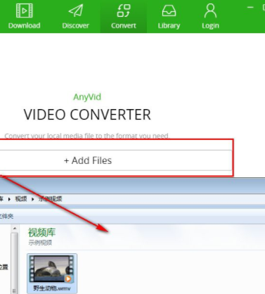 AnyVid视频下载工具官方版