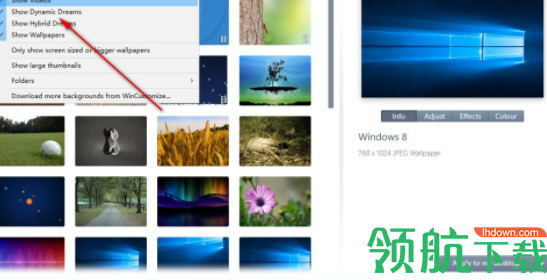 StartdockDeskScapes梦幻桌面破解版