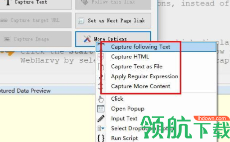 SysNucleusWebHarvy网页数据采集工具