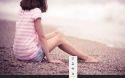精灵标注助手官方版