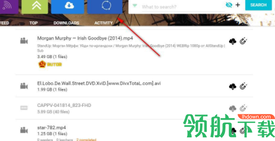 RatsonTheBoat种子下载工具官方版