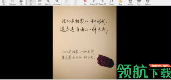 FocusOnImageViewer图片浏览工具官方版