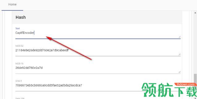 Captf Encoder(网络安全工具套件)官方版
