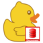 小鸭数据库官方版