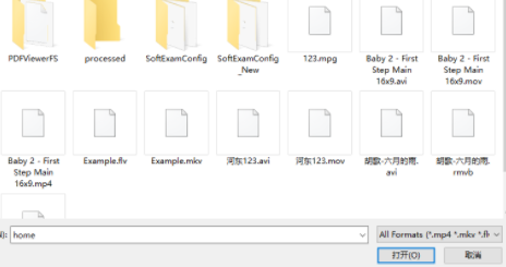 dhf视频转换器官方版