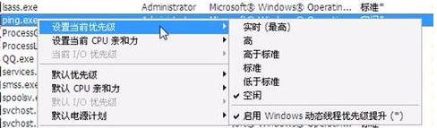 Processasso汉化破解版