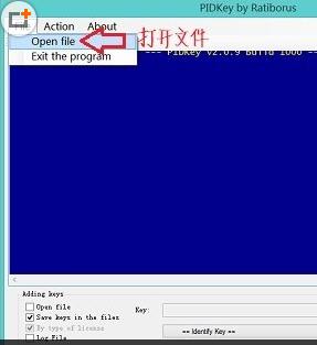 PIDKey(密钥批量检测软件)最新版