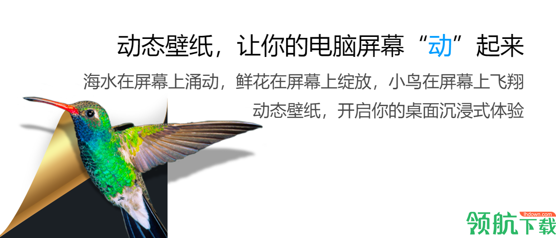 小鸟壁纸动态壁纸官方版