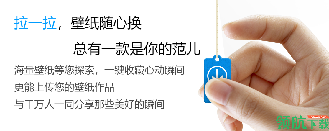 小鸟壁纸动态壁纸官方版