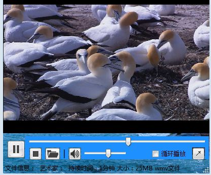 长风轻视听官方版