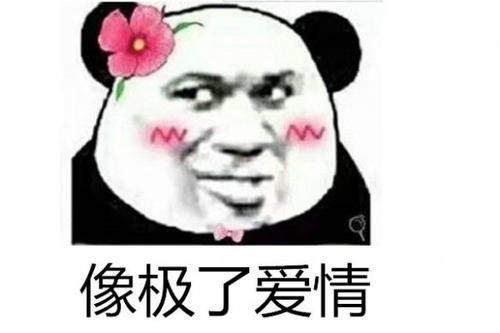 像极了爱情表情包