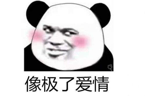 像极了爱情表情包