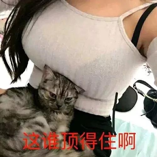 这谁顶得住啊表情包