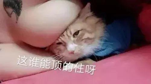 这谁顶得住啊表情包