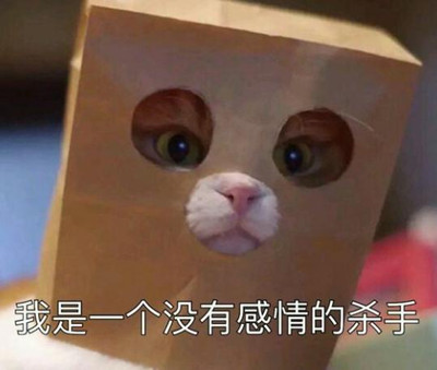 没有感情的杀手 表情包