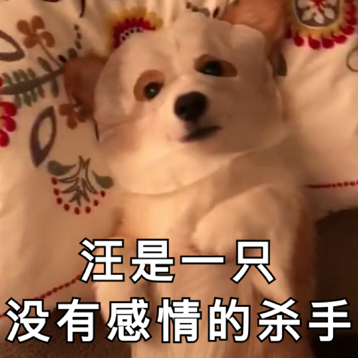 没有感情的杀手 表情包