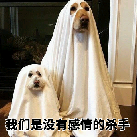 没有感情的杀手 表情包