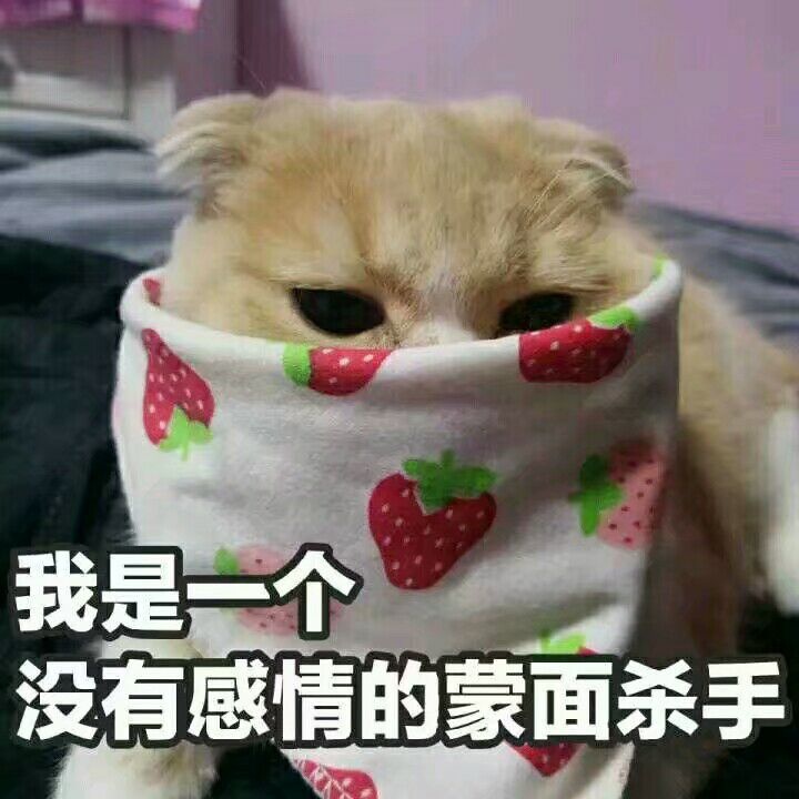 没有感情的杀手 表情包