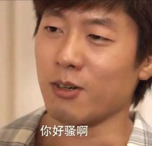 你好骚阿 表情包