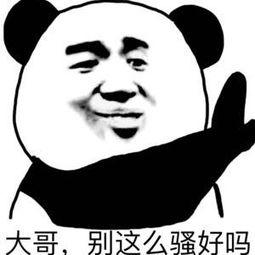 你好骚阿 表情包