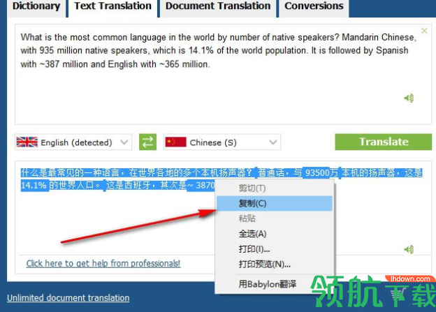 Babylon Pro NG(多国语言翻译软件)破解版