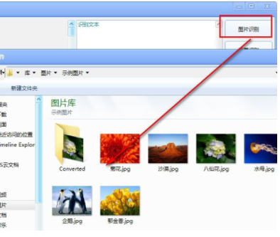 PandaOCR识别翻译工具官方版