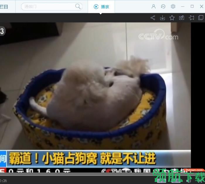 cbox央视影音官方版