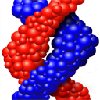 dnastar8(生物综合性序列分析软件)破解版