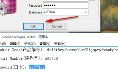 PLSQLDeveloper中文破解版(附注册码)