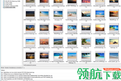 Extreme Picture Finder(图片批量下载工具)破解版