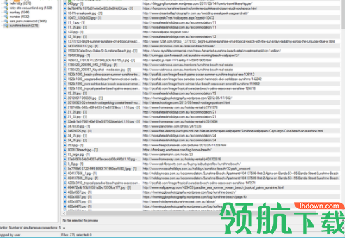 Extreme Picture Finder(图片批量下载工具)破解版