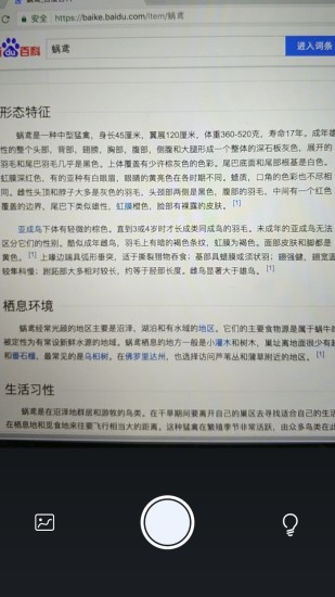 文字识别去广告版