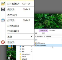 WinSnap(屏幕捕捉)中文绿色版