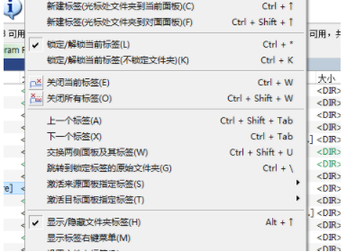 TotalCommander文件管理器绿色版