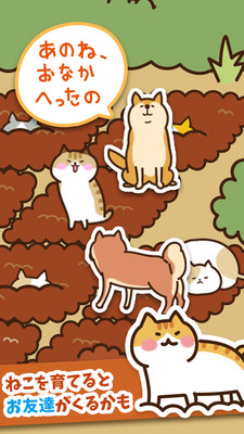 猫咪田园安卓版